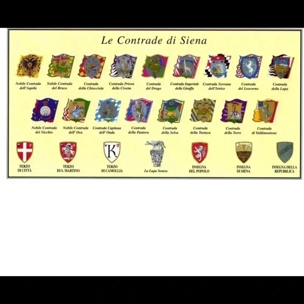 Contrada Della Selva Rhinoceros and Oak tree flag - Picture 10 of 10
